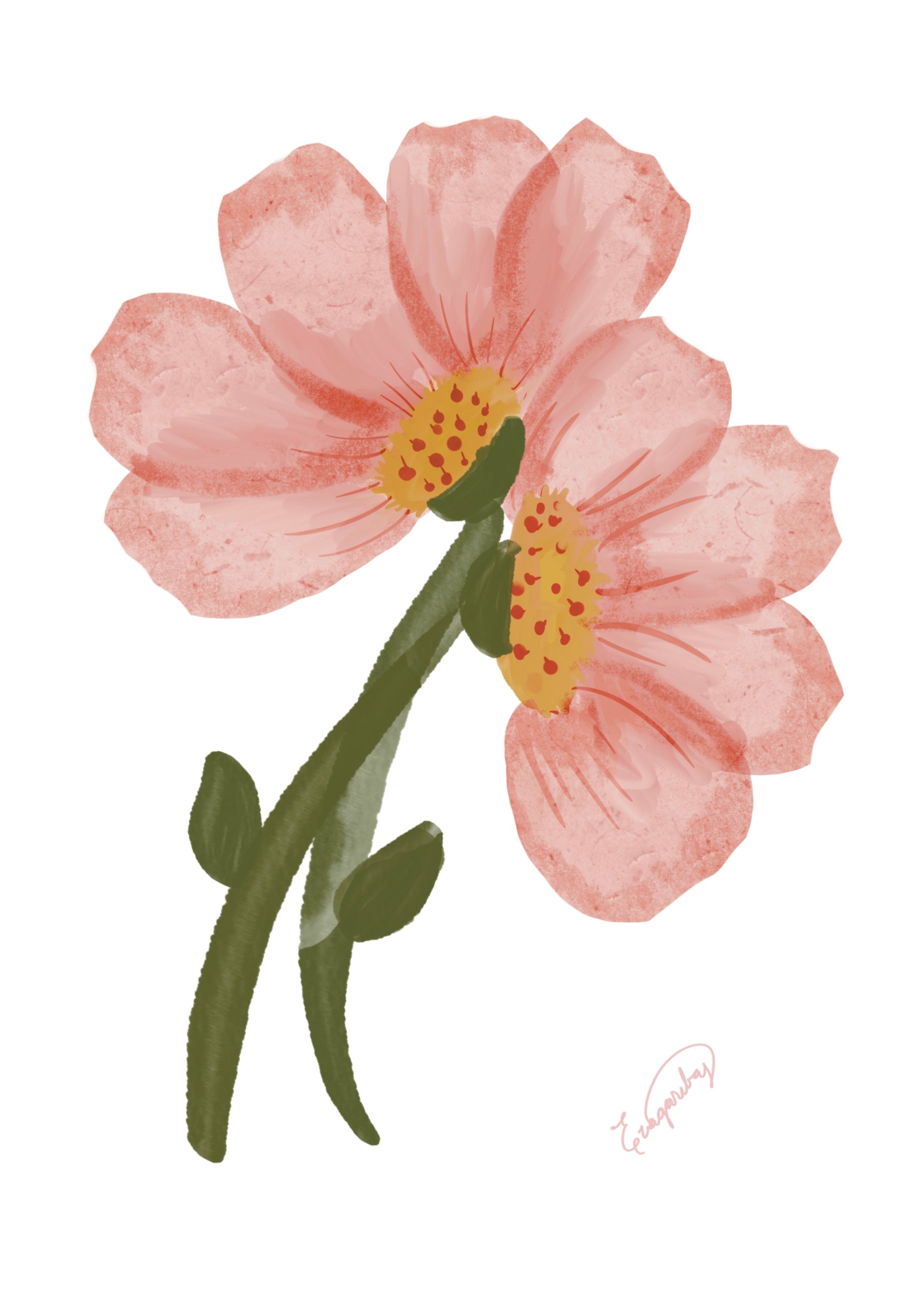 Pink Light Watercolor